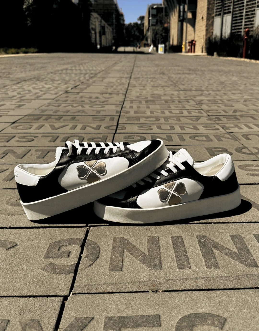 Champion Edition